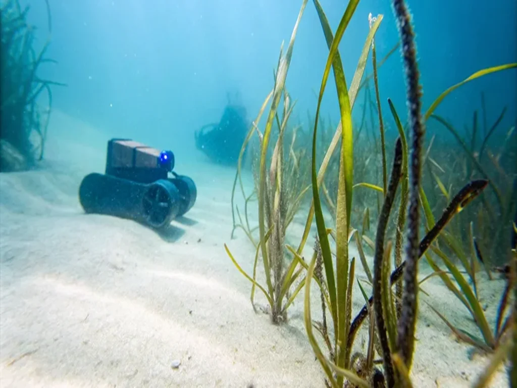 Seagrass PlanterBot